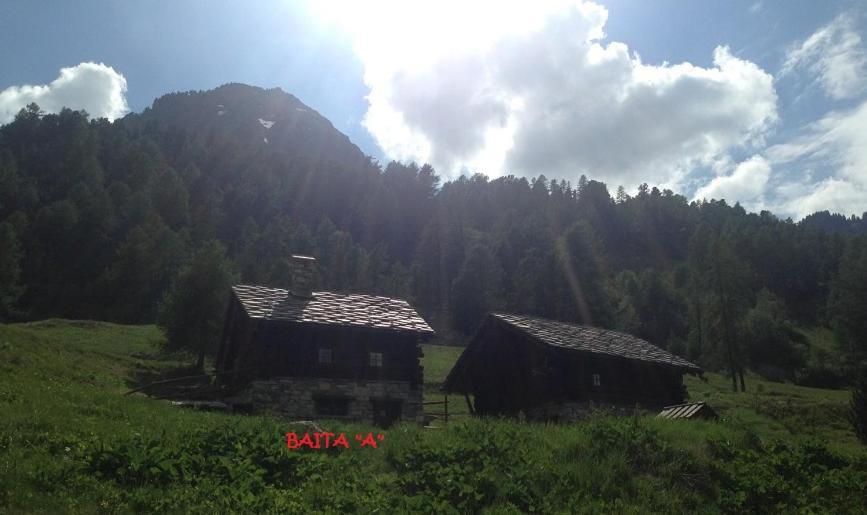 Baite Cialvrina Gressoney-Saint-Jean Exterior foto